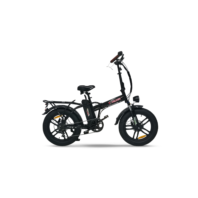 RICCO E-BIKE